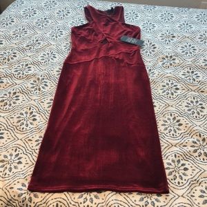 Velvet midi dress new never worn